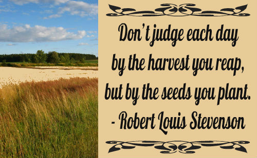 An excellent quote by Robert Louis Stevenson. An excellent quote by Robert Louis Stevenson.